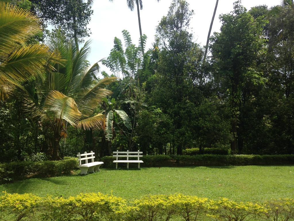 Alfred Colonial & Spice Garden * Kobbekaduwa